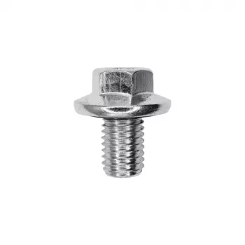 M12-1.75 X 17mm Oil Drain Plug w/ Rubber Gasket