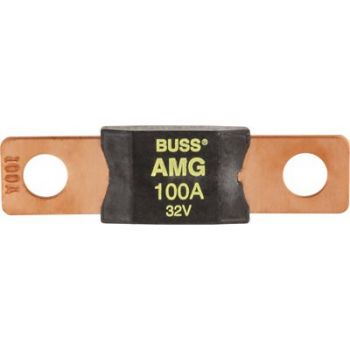 Mega Fuse 100 Amp