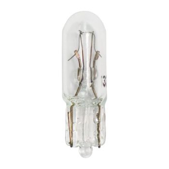 #37 Miniature Bulbs
