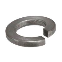 M12 Stainless Steel Lock Washer
